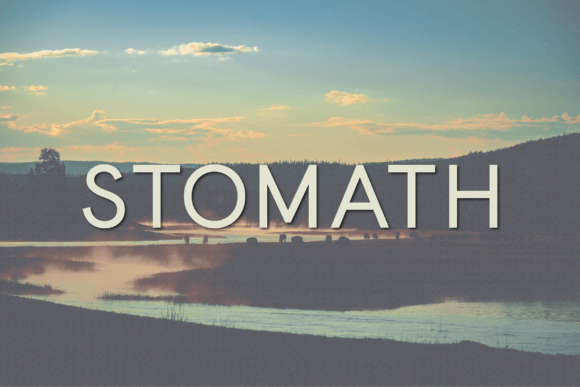 Stomath Typeface Review for Modern Branding